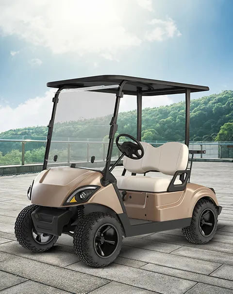 Best Electric Buggy Suppliers India